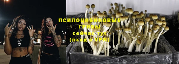 амф Алзамай
