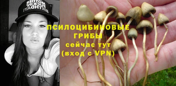 марки lsd Алексеевка