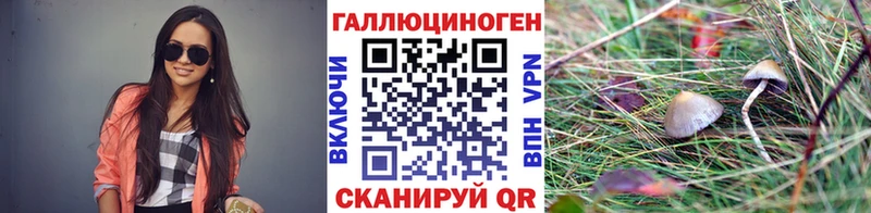 Псилоцибиновые грибы мицелий Пугачёв