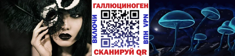 Псилоцибиновые грибы Cubensis  Пугачёв 